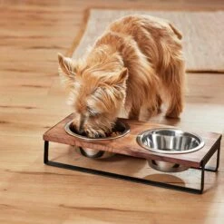 Frisco Wood Elevated Non-Skid Stainless Steel Double Diner Dog & Cat Bowl -The Pet Haven Shop 257143 PT3. AC SS1800 V1615987292