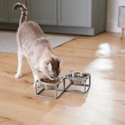 Frisco Elevated Diamond Stainless Steel Double Diner Dog & Cat Bowl -The Pet Haven Shop 257147 PT5. AC SS1800 V1615989105