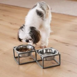 Frisco Elevated Diamond Stainless Steel Double Diner Dog & Cat Bowl -The Pet Haven Shop 257147 PT8. AC SS1800 V1615840442