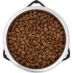 Frisco Triangle Iron Non-Skid Elevated Dog & Cat Bowl -The Pet Haven Shop 257155 PT4. AC SS1800 V1615311701