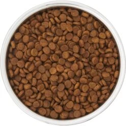 Frisco Insulated Two-Toned Non-Skid Stainless Steel Dog & Cat Bowl -The Pet Haven Shop 257168 PT4. AC SS1800 V1612367255