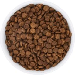 Frisco Bohemian Non-Skid Stainless Steel Dog & Cat Bowl -The Pet Haven Shop 257195 PT4. AC SS1800 V1615311089