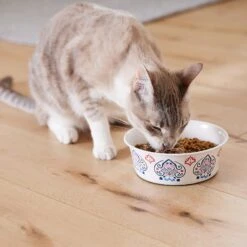 Frisco Bohemian Non-Skid Stainless Steel Dog & Cat Bowl -The Pet Haven Shop 257195 PT7. AC SS1800 V1615989147