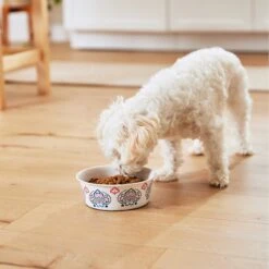 Frisco Bohemian Non-Skid Stainless Steel Dog & Cat Bowl -The Pet Haven Shop 257195 PT8. AC SS1800 V1615932115