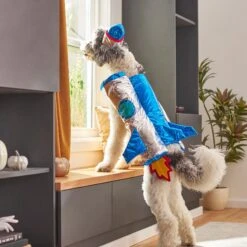 Frisco Rocket Ship Dog & Cat Costume -The Pet Haven Shop 260904 PT8. AC SS1800 V1624400386