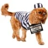 Frisco Prisoner Dog & Cat Costume 2 Frisco Prisoner Dog & Cat Costume -The Pet Haven Shop 260933 MAIN. AC SS1800 V1624400089