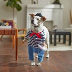Frisco Front Walking French Artist Dog & Cat Costume 17 Frisco Front Walking French Artist Dog & Cat Costume -The Pet Haven Shop 260956 PT8. AC SS1800 V1689623916