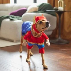Frisco Front Walking Superhero Dog & Cat Costume -The Pet Haven Shop 261083 PT8. AC SS1800 V1624399471