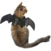 Frisco Bat Wings Dog & Cat Costume -The Pet Haven Shop 261113 MAIN. AC SS1800 V1625076458