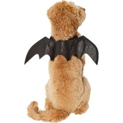 Frisco Bat Wings Dog & Cat Costume -The Pet Haven Shop 261113 PT2. AC SS1800 V1625077070