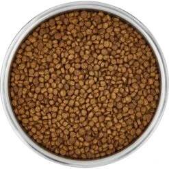 Frisco Insulated Non-Skid Stainless Steel Dog & Cat Bowl 14 Frisco Insulated Non-Skid Stainless Steel Dog & Cat Bowl -The Pet Haven Shop 261757 PT4. AC SS1800 V1623937392