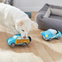 Frisco Road Trip Cruisers Plush Squeaky Dog Toy, 2 Count -The Pet Haven Shop 261982 PT3. AC SS1800 V1618598560