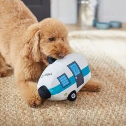 Frisco Road Trip Happy Camper Plush Squeaky Dog Toy -The Pet Haven Shop 261991 PT3. AC SS1800 V1618598545