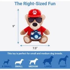 Frisco Road Trip Tourist Bear Plush Squeaky Dog Toy 6 Frisco Road Trip Tourist Bear Plush Squeaky Dog Toy -The Pet Haven Shop 261995 PT1. AC SS1800 V1622563654