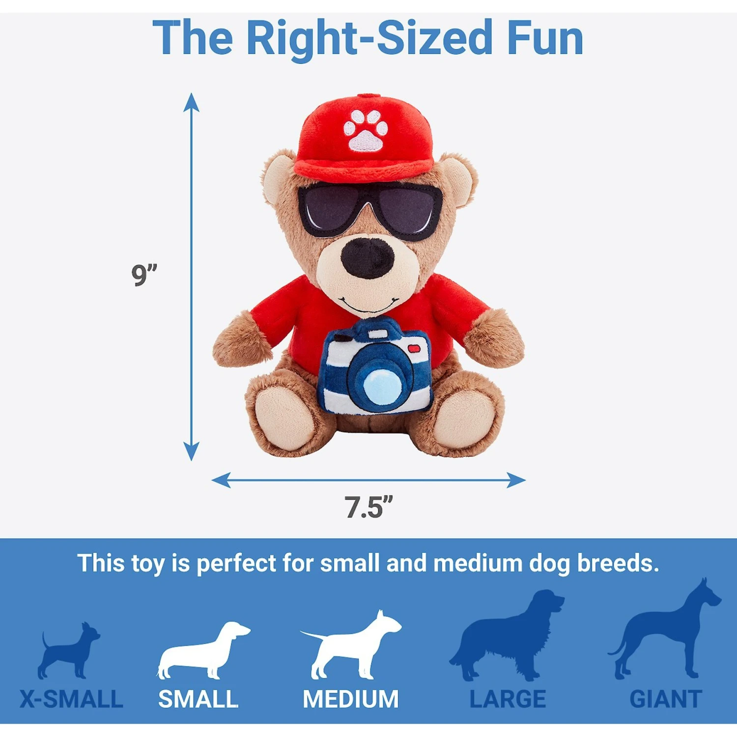 Frisco Road Trip Tourist Bear Plush Squeaky Dog Toy 4 Frisco Road Trip Tourist Bear Plush Squeaky Dog Toy - Image 2