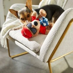 Frisco Road Trip Tourist Bear Plush Squeaky Dog Toy 7 Frisco Road Trip Tourist Bear Plush Squeaky Dog Toy -The Pet Haven Shop 261995 PT3. AC SS1800 V1618598730