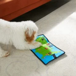 Frisco Road Trip Foldable Map Flat Plush Squeaky Dog Toy -The Pet Haven Shop 261998 PT4. AC SS1800 V1619791937