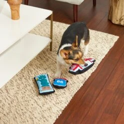 Frisco Road Trip Sightseeing Plush Squeaky Dog Toy, 3 Count -The Pet Haven Shop 262001 PT3. AC SS1800 V1618598716