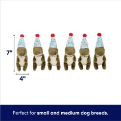 Frisco Birthday Volcano & Dinosaurs Hide & Seek Puzzle Plush Squeaky Dog Toy -The Pet Haven Shop 264424 PT2. AC SS1800 V1695761147