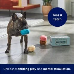 Frisco Macaron Interactive Plush Squeaky Dog Toy -The Pet Haven Shop 264438 PT5. AC SS1800 V1686579089