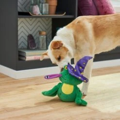 Frisco Magic Wizard Frog Plush Squeaky Dog Toy 7 Frisco Magic Wizard Frog Plush Squeaky Dog Toy -The Pet Haven Shop 265588 PT3. AC SS1800 V1620939075