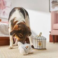 Frisco Magic Owl & Cage 2-in-1 Plush Squeaky Dog Toy -The Pet Haven Shop 265592 PT3. AC SS1800 V1620938916