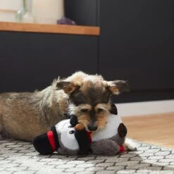 Frisco Magic Owl Plush Squeaky Dog Toy -The Pet Haven Shop 265596 PT3. AC SS1800 V1623352167