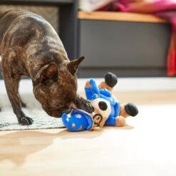 Frisco Magic Wizard Bear Plush Squeaky Dog Toy -The Pet Haven Shop 265604 PT3. AC SS1800 V1623352109