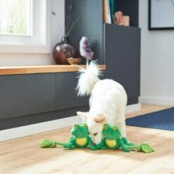 Frisco Magic Frog Plush With Rope Squeaky Dog Toy -The Pet Haven Shop 265606 PT3. AC SS1800 V1620938889