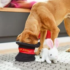 Frisco Magic Rabbit In A Hat 2-in-1 Plush Squeaky Dog Toy -The Pet Haven Shop 265616 PT3. AC SS1800 V1623352136