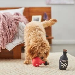 Frisco Magic Potions Latex Squeaky Dog Toy, 2 Count -The Pet Haven Shop 265632 PT3. AC SS1800 V1620939021