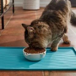 Frisco Cat Face Non-skid Ceramic Cat Bowl, White -The Pet Haven Shop 270229 PT3. AC SS1800 V1620762318