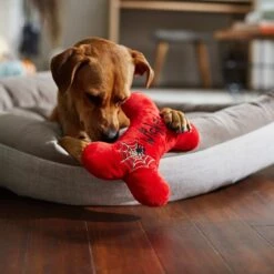 Frisco Halloween Wicked Cute Bone Reversible Plush Squeaky Dog Toy -The Pet Haven Shop 270357 PT3. AC SS1800 V1624817551