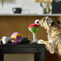 Frisco Halloween Cocktail Plush Squeaky Dog Toy 9 Frisco Halloween Cocktail Plush Squeaky Dog Toy -The Pet Haven Shop 270361 PT3. AC SS1800 V1624817495