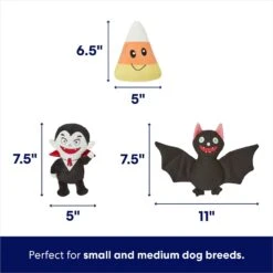 Frisco Halloween Haunted Friends Plush Squeaky Dog Toy -The Pet Haven Shop 270363 PT1. AC SS1800 V1689877935