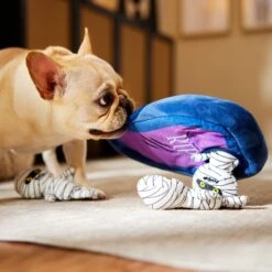 Frisco Halloween Mummy & Coffin Hide & Seek Puzzle Plush Squeaky Dog Toy -The Pet Haven Shop 270365 PT3. AC SS1800 V1624817620