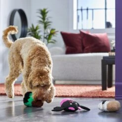 Frisco Halloween Cupcakes Plush Squeaky Dog Toy 9 Frisco Halloween Cupcakes Plush Squeaky Dog Toy -The Pet Haven Shop 270367 PT3. AC SS1800 V1624817674