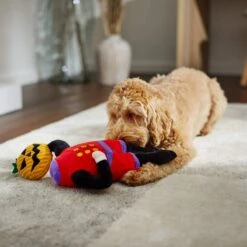 Frisco Halloween Headless Rider Plush Squeaky Dog Toy 9 Frisco Halloween Headless Rider Plush Squeaky Dog Toy -The Pet Haven Shop 270375 PT3. AC SS1800 V1624817181