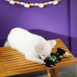 Frisco Halloween Good Witch, Bad Witch Reversible Plush Squeaky Dog Toy 11 Frisco Halloween Good Witch, Bad Witch Reversible Plush Squeaky Dog Toy -The Pet Haven Shop 270429 PT3. AC SS1800 V1624817643