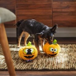 Frisco Halloween Nerdy Jack-o-Lanterns Plush Squeaky Dog Toy -The Pet Haven Shop 270431 PT3. AC SS1800 V1624817796