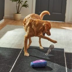 Frisco Halloween Mummy & Coffin Plush Squeaky Dog Toy -The Pet Haven Shop 270437 PT3. AC SS1800 V1624817278