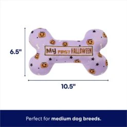 Frisco Halloween My First Halloween Bone Reversible Plush Squeaky Dog Toy -The Pet Haven Shop 270452 PT1. AC SS1800 V1689878050