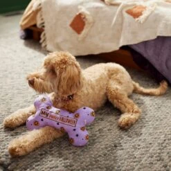 Frisco Halloween My First Halloween Bone Reversible Plush Squeaky Dog Toy -The Pet Haven Shop 270452 PT3. AC SS1800 V1624817314
