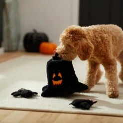 Frisco Halloween Haunted Tree Hide & Seek Puzzle Plush Squeaky Dog Toy -The Pet Haven Shop 270488 PT3. AC SS1800 V1624817078