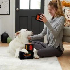 Frisco Halloween 30 Days Of Halloween Countdown Blocks Plush Squeaky Dog Toy -The Pet Haven Shop 270494 PT3. AC SS1800 V1624817483