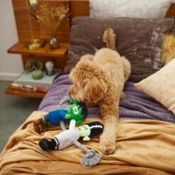 Frisco Halloween Frankenstein & Bride Plush With Rope Squeaky Dog Toy -The Pet Haven Shop 270496 PT3. AC SS1800 V1624824775