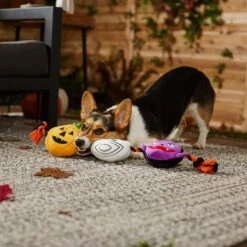 Frisco Halloween Haunted Friends Plush With Rope Squeaky Dog Toy -The Pet Haven Shop 270500 PT3. AC SS1800 V1624825043