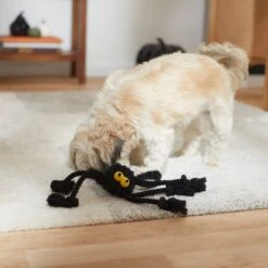 Frisco Halloween Spider Rope Dog Toy -The Pet Haven Shop 270504 PT3. AC SS1800 V1624825021