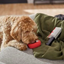 Frisco Halloween Vampire Teeth & Knife Latex Squeaky Dog Toy -The Pet Haven Shop 270512 PT3. AC SS1800 V1624817093