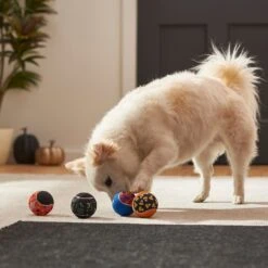 Frisco Halloween Glow In The Dark Fetch Squeaky Tennis Ball Dog Toy 11 Frisco Halloween Glow In The Dark Fetch Squeaky Tennis Ball Dog Toy -The Pet Haven Shop 270525 PT3. AC SS1800 V1624824980